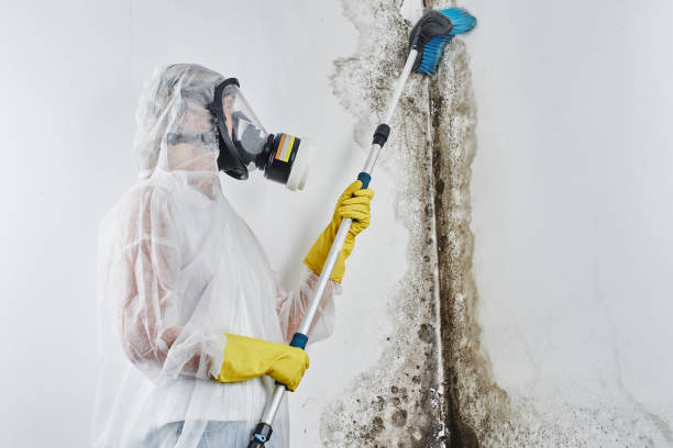Best Mold Testing  in Poulsbo, WA