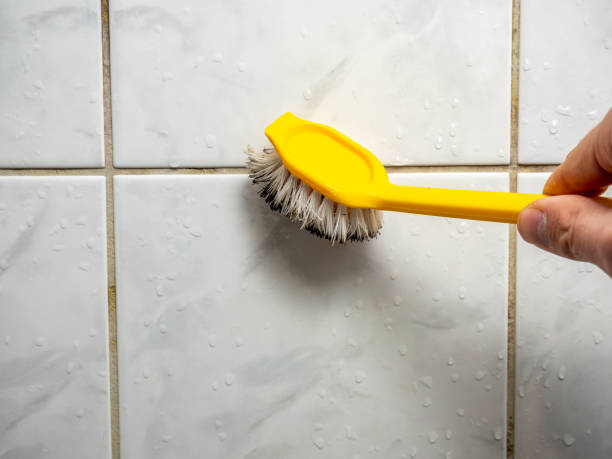Best Professional Mold Removal  in Poulsbo, WA