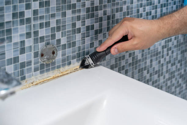 Best Fast Mold Removal  in Poulsbo, WA
