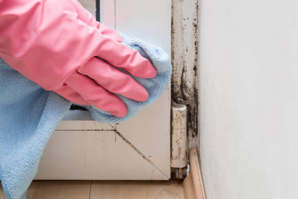 Best Mold Testing  in Poulsbo, WA